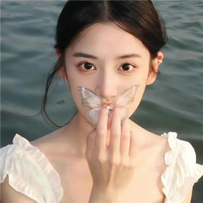 浴血记者