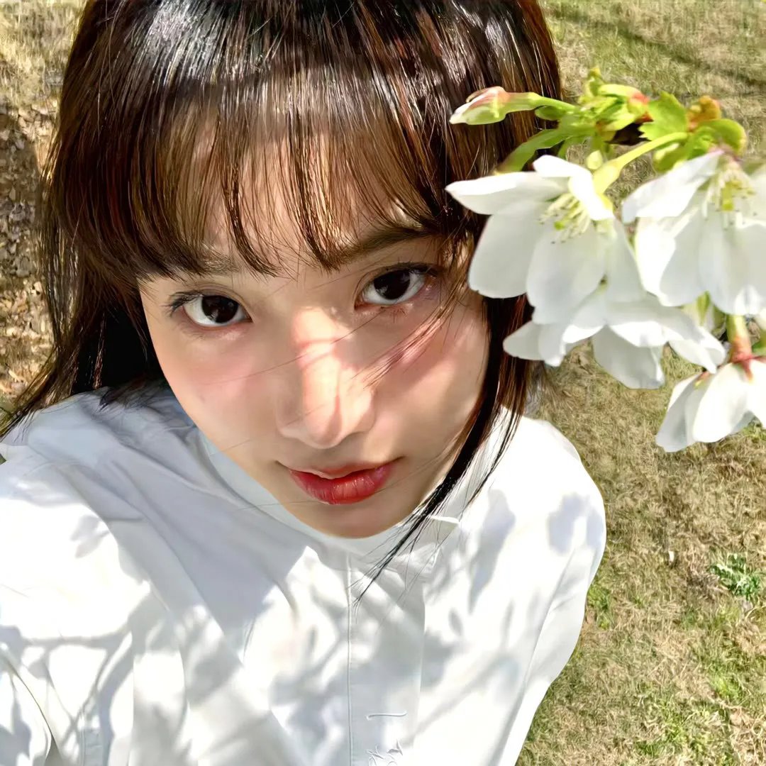 檀岛玉女